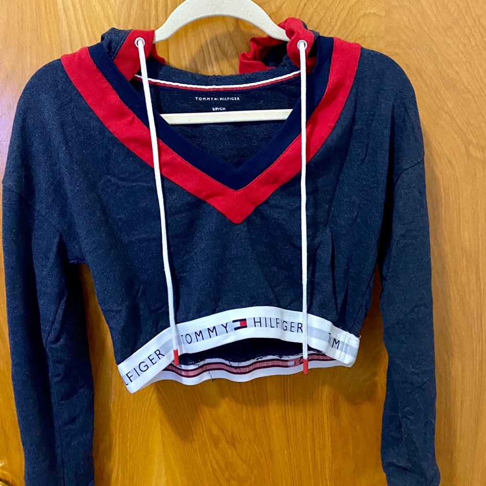 Tommy Hilfiger retro cropped hoodie
